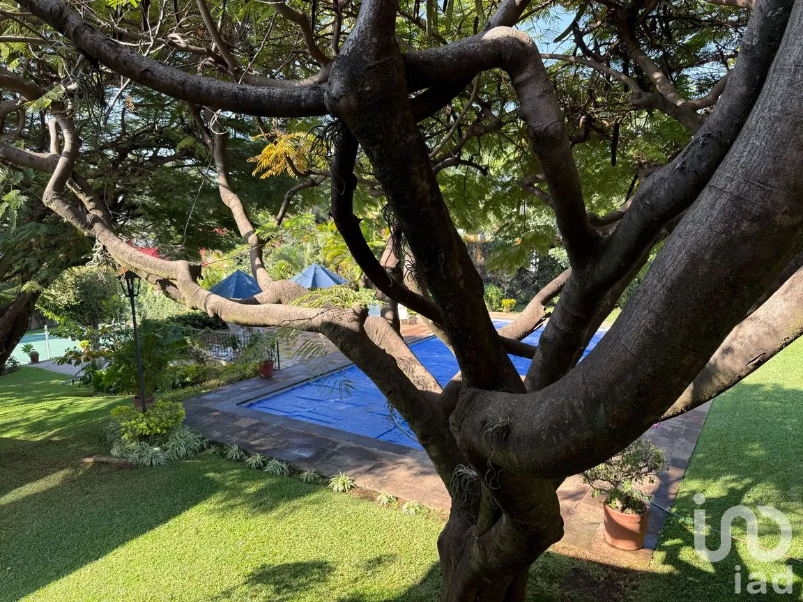 Casa en Venta en Delicias, Cuernavaca, Morelos | NEX-264027 | iad México | Foto 13 de 13