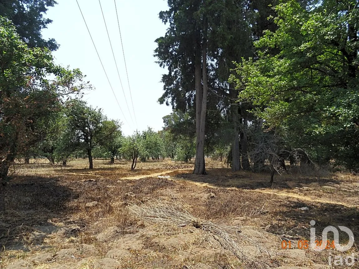 Terreno en Venta en Segundo, Huejotzingo, Puebla | NEX-265584 | iad México | Foto 5 de 10
