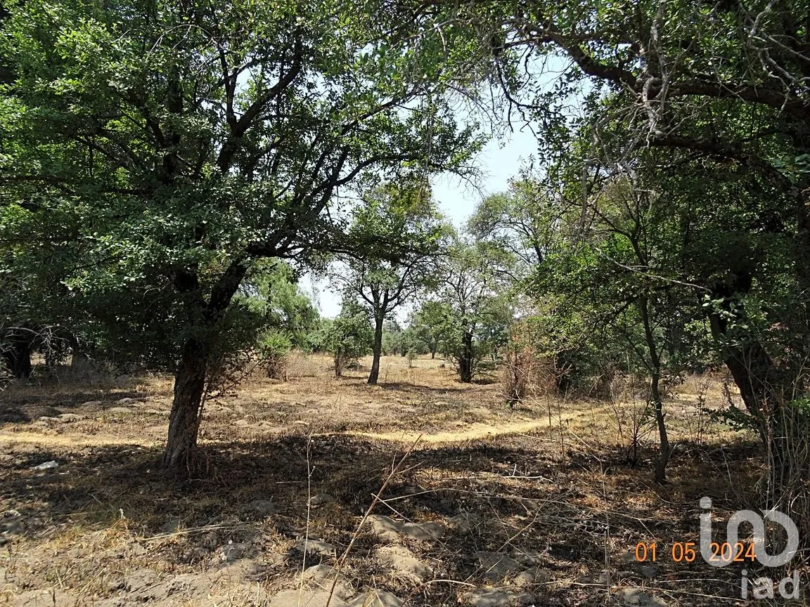 Terreno en Venta en Segundo, Huejotzingo, Puebla | NEX-265584 | iad México | Foto 6 de 10