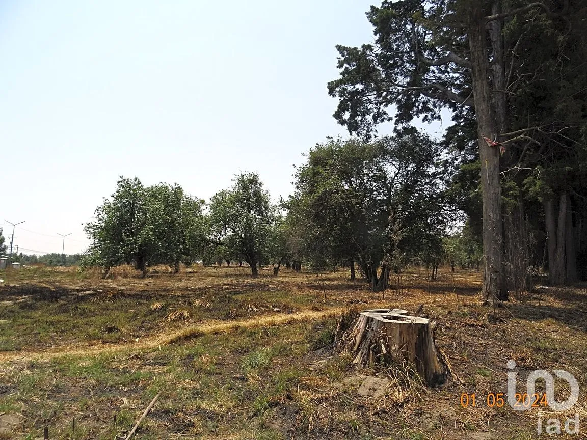 Terreno en Venta en Segundo, Huejotzingo, Puebla | NEX-265584 | iad México | Foto 7 de 10