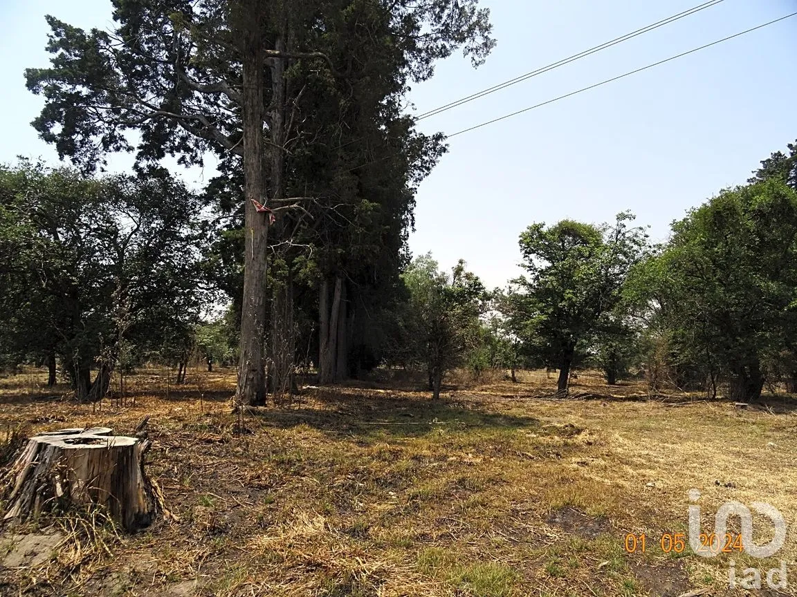 Terreno en Venta en Segundo, Huejotzingo, Puebla | NEX-265584 | iad México | Foto 8 de 10