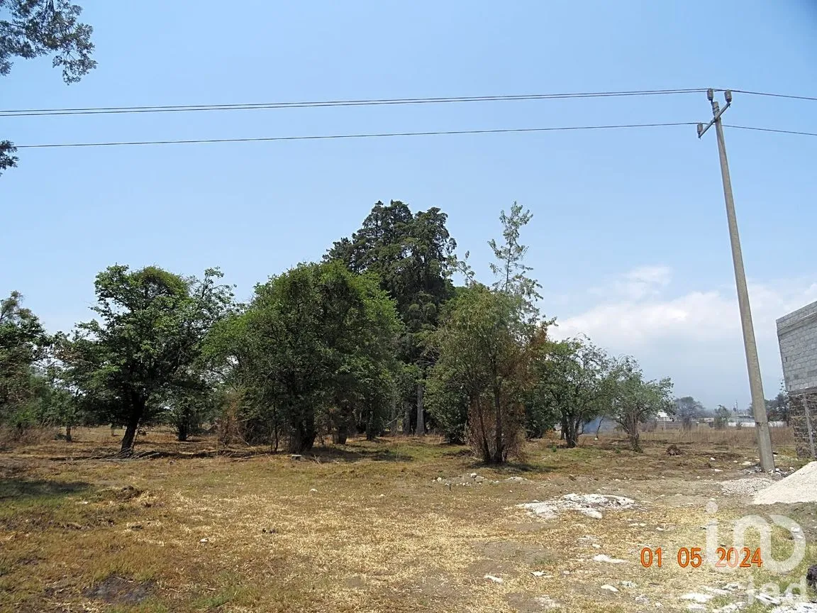 Terreno en Venta en Segundo, Huejotzingo, Puebla | NEX-265584 | iad México | Foto 9 de 10