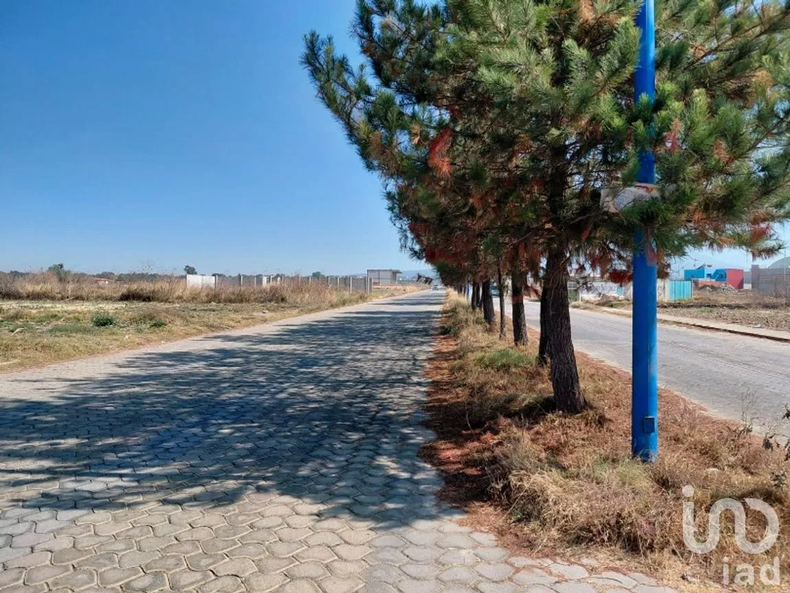 Terreno en Venta en Acopilco, San Pablo del Monte, Tlaxcala | NEX-297422 | iad México | Foto 7 de 13