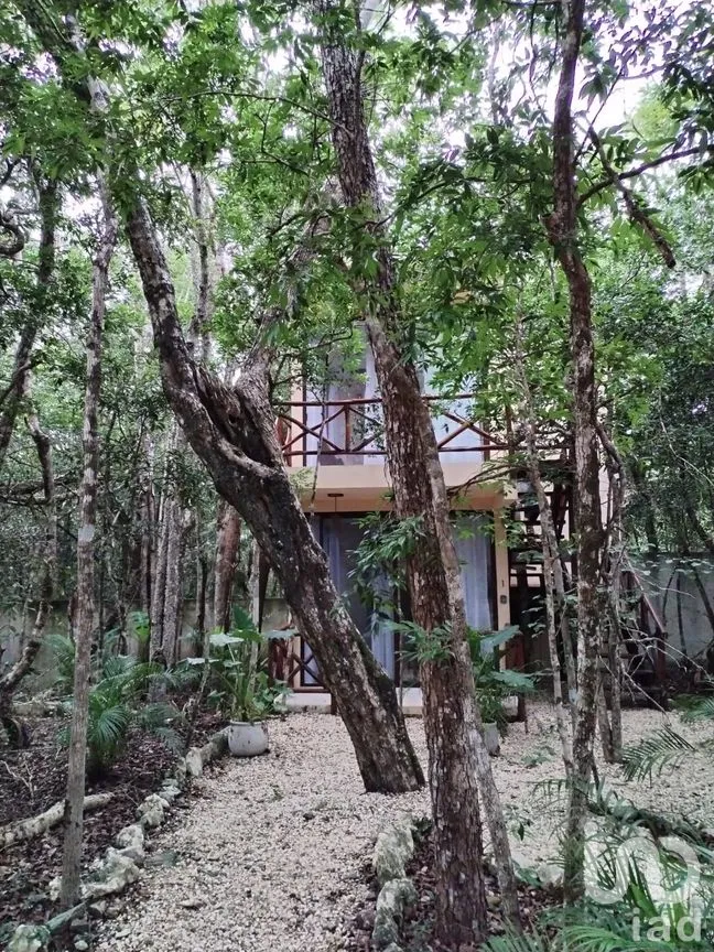 Casa en Venta en Ciudad Chemuyil, Tulum, Quintana Roo | NEX-264816 | iad México | Foto 16 de 31