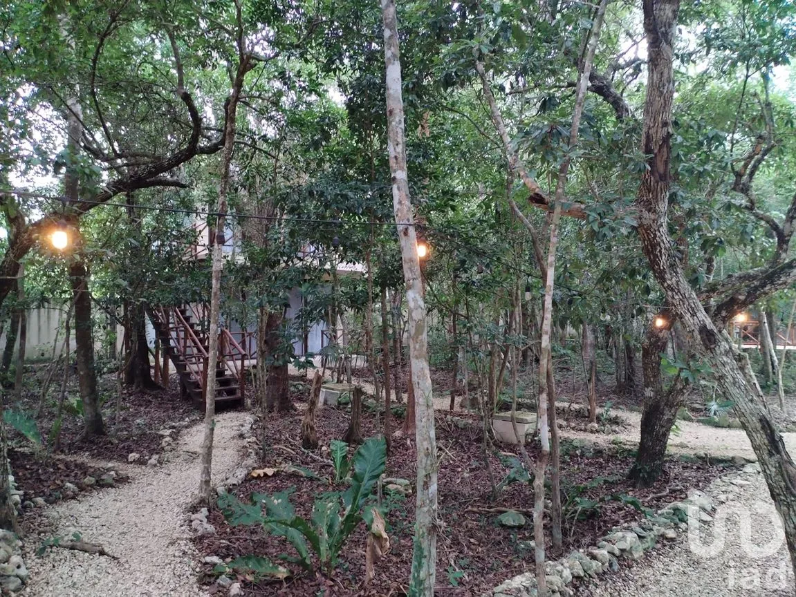 Casa en Venta en Ciudad Chemuyil, Tulum, Quintana Roo | NEX-264816 | iad México | Foto 4 de 31