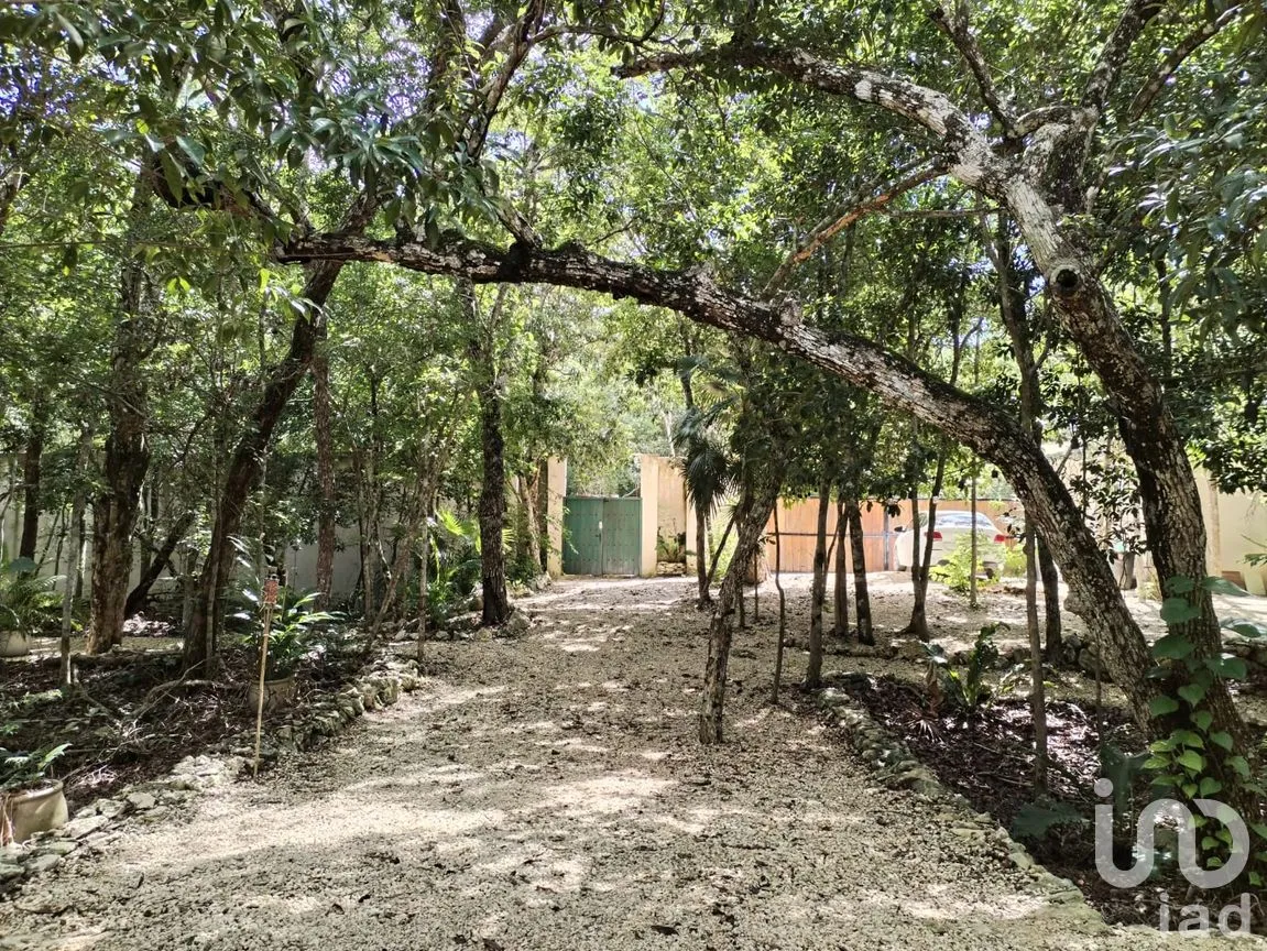 Casa en Venta en Ciudad Chemuyil, Tulum, Quintana Roo | NEX-264816 | iad México | Foto 10 de 31