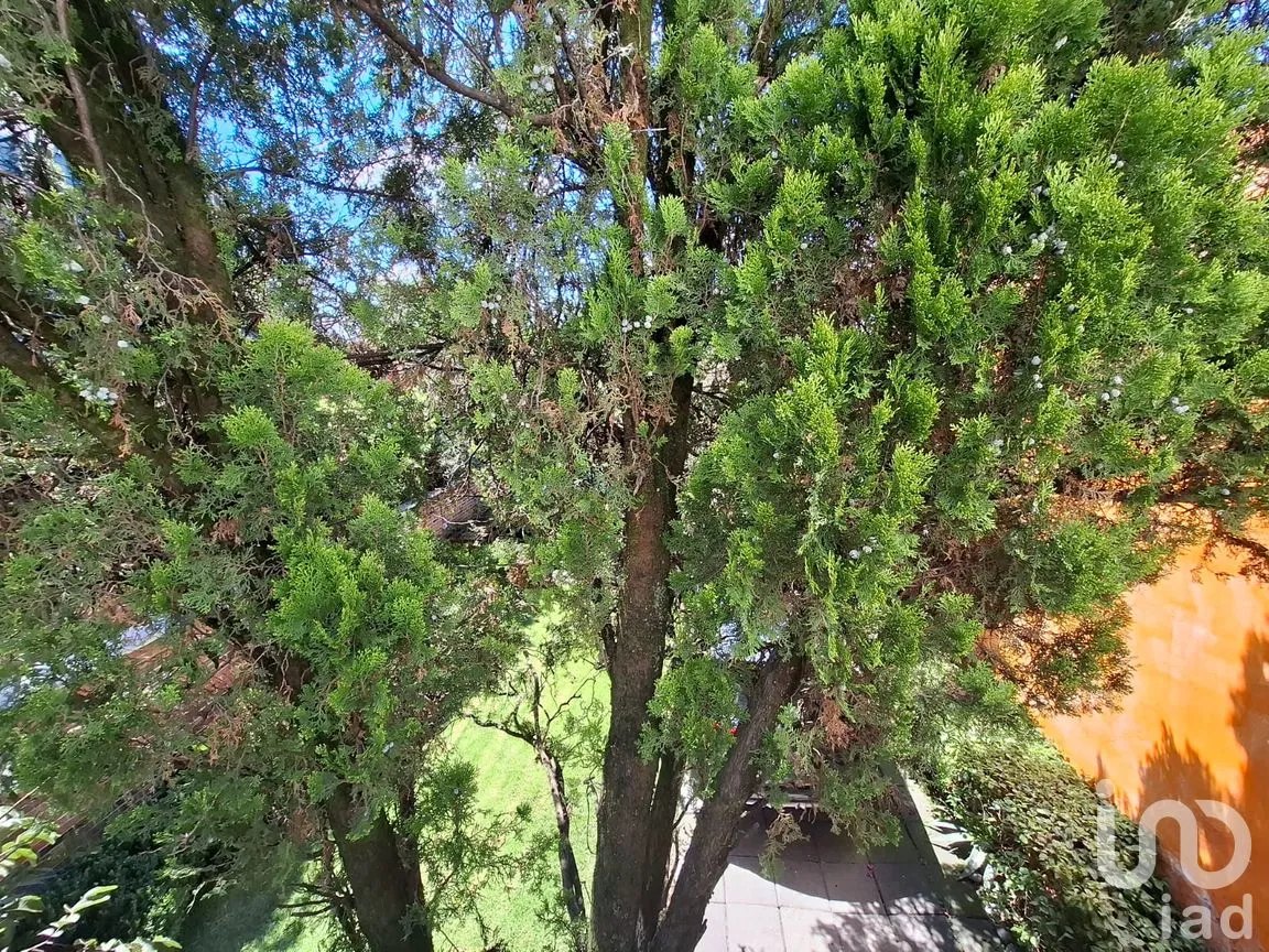 Casa en Venta en Jardines del Sur, Xochimilco, Ciudad de México | NEX-260556 | iad México | Foto 35 de 49