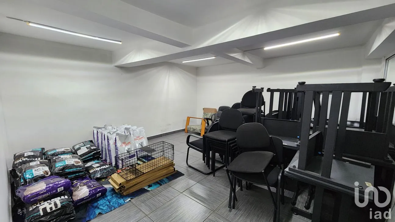 Edificio en Venta en Buenavista, Cuauhtémoc, Ciudad de México | NEX-261771 | iad México | Foto 12 de 23