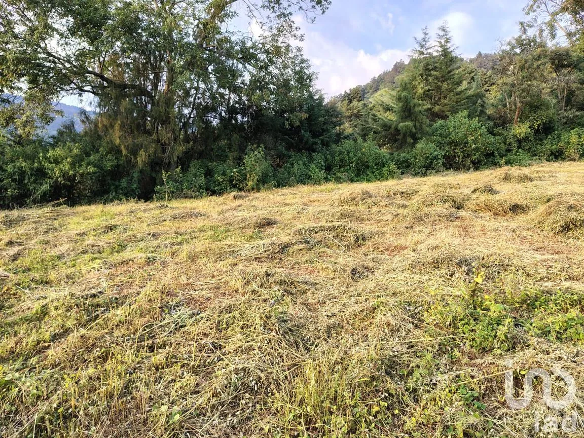 Terreno en Venta en Rinconada de Santa Teresa, Tenancingo, México | NEX-265643 | iad México | Foto 2 de 9