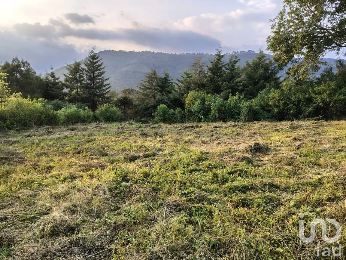 Terreno en Venta en Rinconada de Santa Teresa, Tenancingo, México | NEX-265643 | iad México | Foto 3 de 9