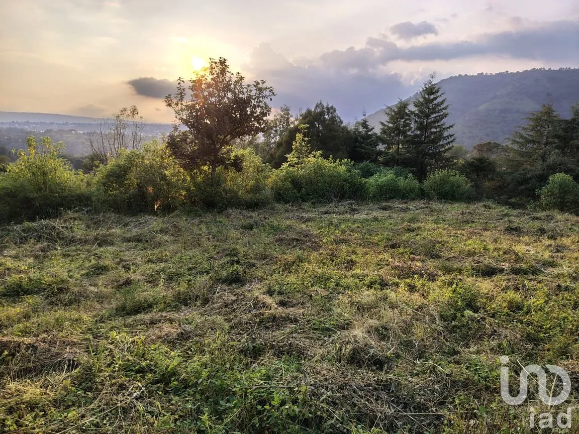 Terreno en Venta en Rinconada de Santa Teresa, Tenancingo, México | NEX-265643 | iad México | Foto 4 de 9