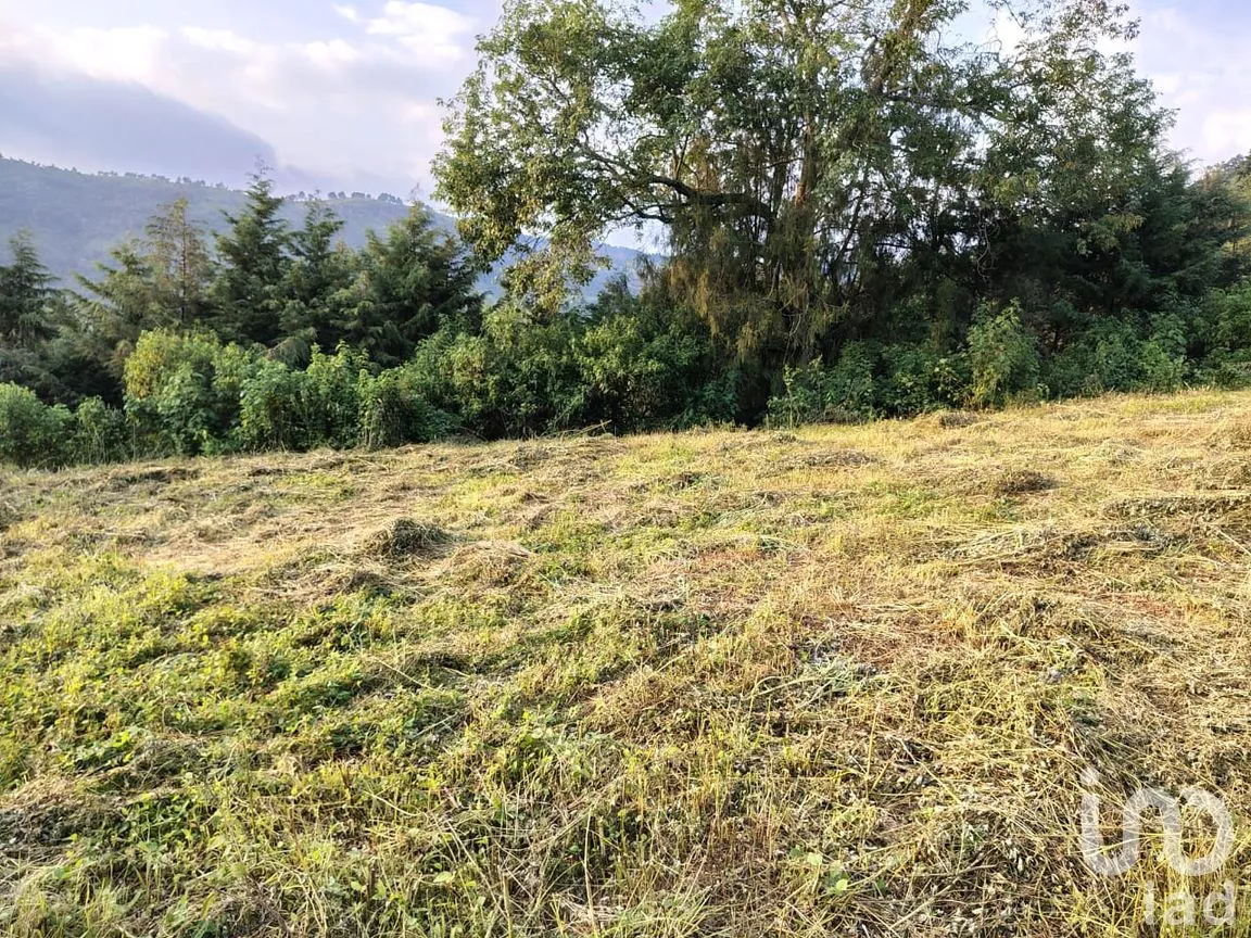 Terreno en Venta en Rinconada de Santa Teresa, Tenancingo, México | NEX-265643 | iad México | Foto 5 de 9