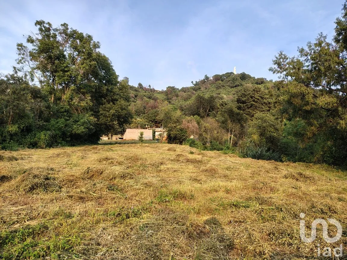 Terreno en Venta en Rinconada de Santa Teresa, Tenancingo, México | NEX-265643 | iad México | Foto 6 de 9