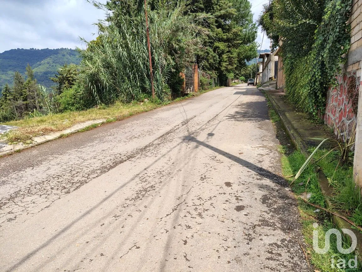 Terreno en Venta en Rinconada de Santa Teresa, Tenancingo, México | NEX-265643 | iad México | Foto 7 de 9