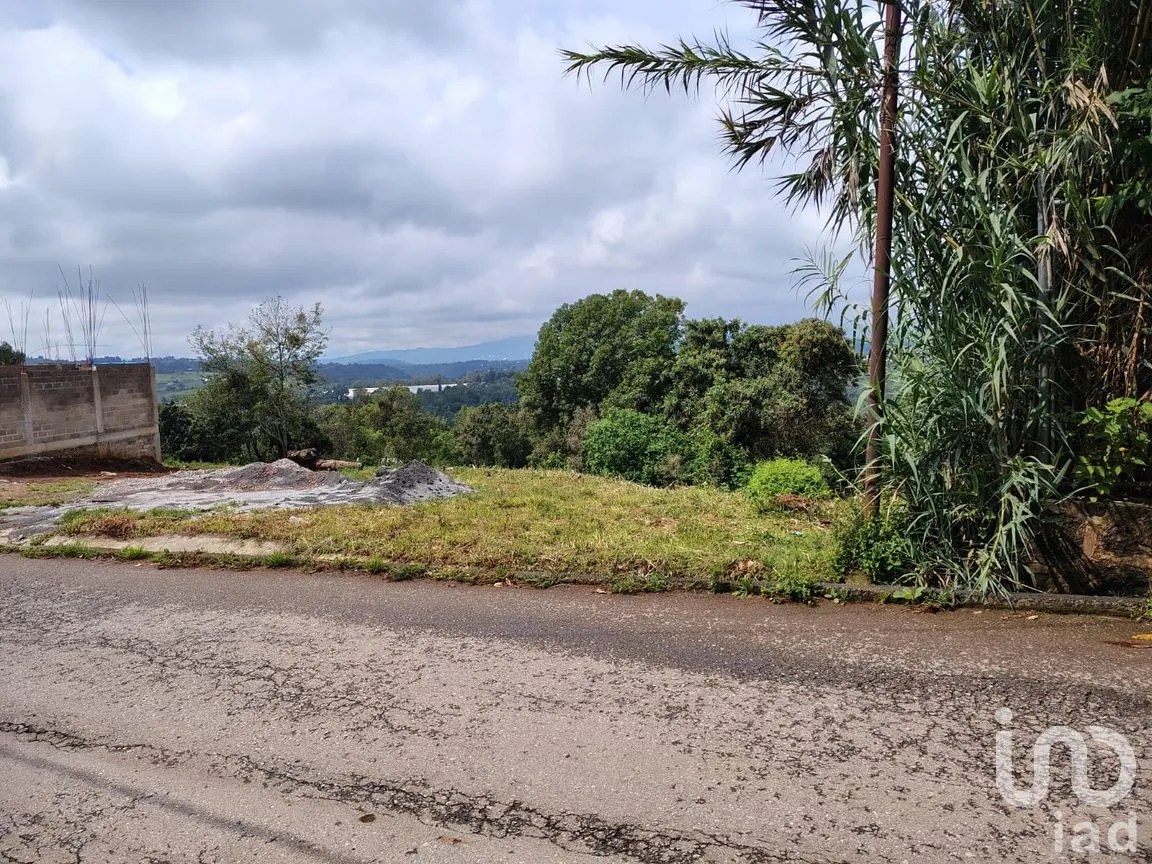 Terreno en Venta en Rinconada de Santa Teresa, Tenancingo, México | NEX-265643 | iad México | Foto 8 de 9