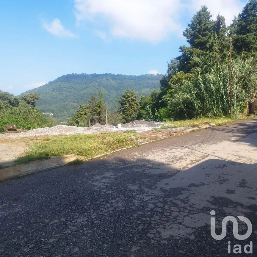 Terreno en Venta en Rinconada de Santa Teresa, Tenancingo, México | NEX-265643 | iad México | Foto 9 de 9