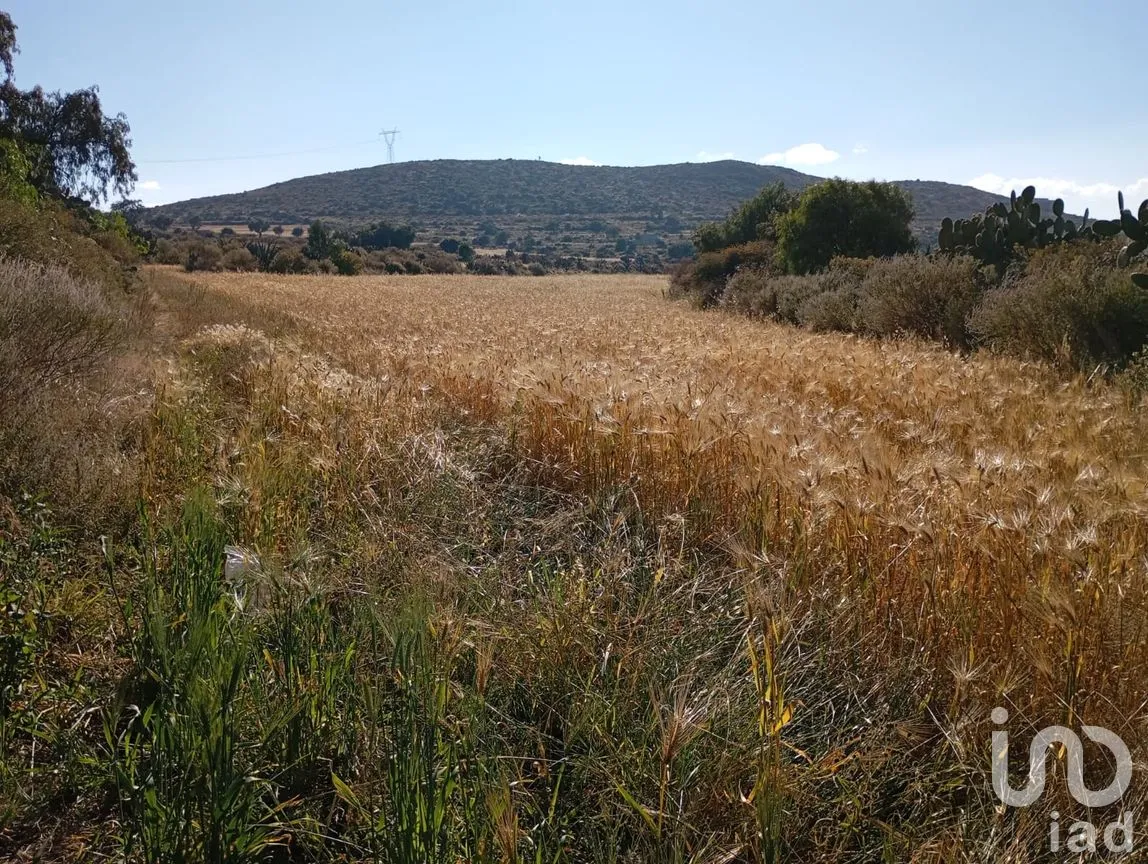 Terreno en Venta en San Juan Tizahuapan, Epazoyucan, Hidalgo | NEX-262252 | iad México | Foto 2 de 9