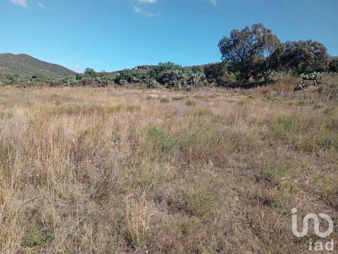 Terreno en Venta en San Juan Tizahuapan, Epazoyucan, Hidalgo | NEX-262252 | iad México | Foto 4 de 9