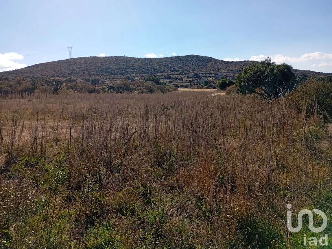 Terreno en Venta en San Juan Tizahuapan, Epazoyucan, Hidalgo | NEX-262252 | iad México | Foto 8 de 9