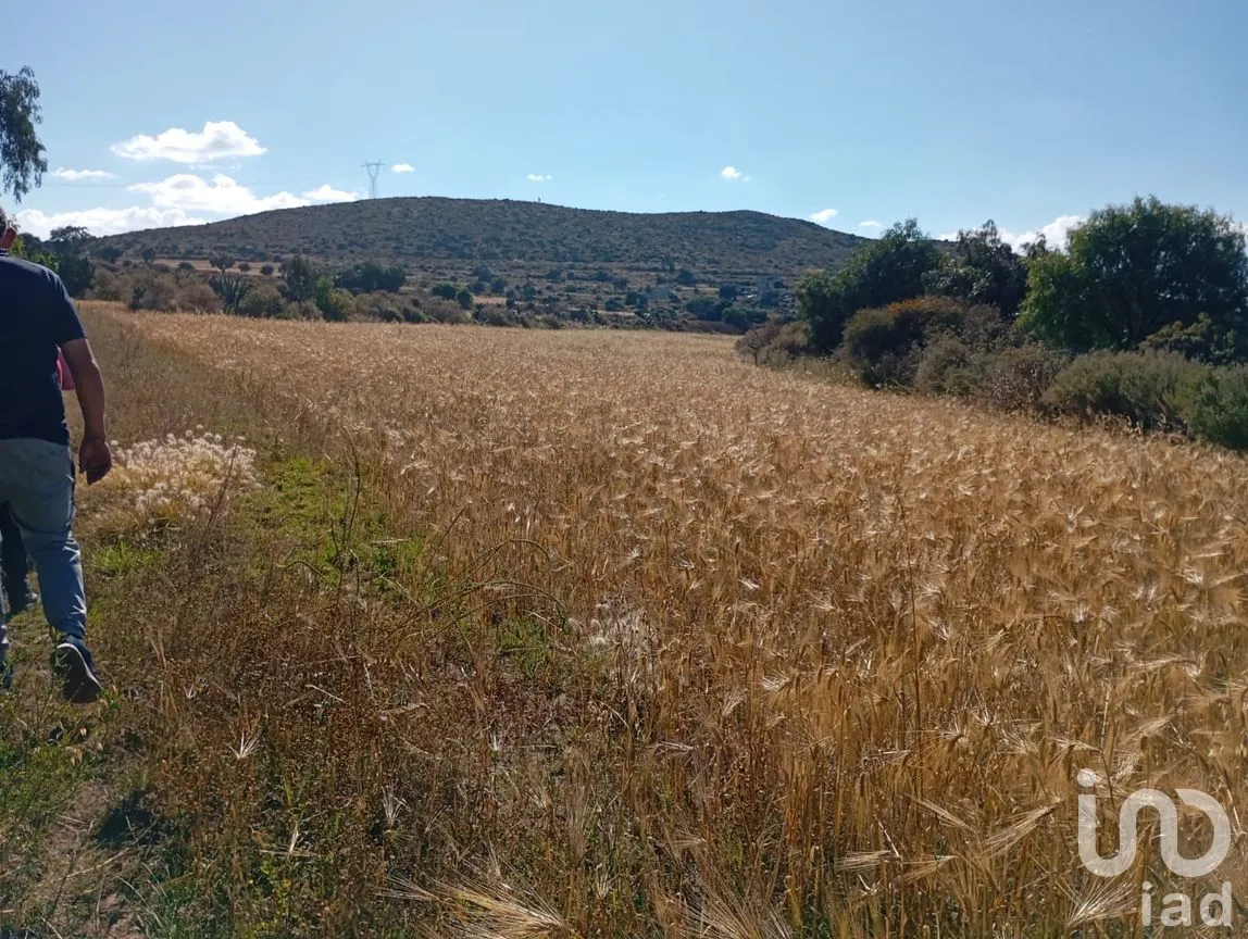 Terreno en Venta en San Juan Tizahuapan, Epazoyucan, Hidalgo | NEX-262252 | iad México | Foto 9 de 9