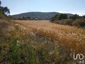 NEX-262252 - Terreno en Venta en San Juan Tizahuapan, CP 43587, Hidalgo.