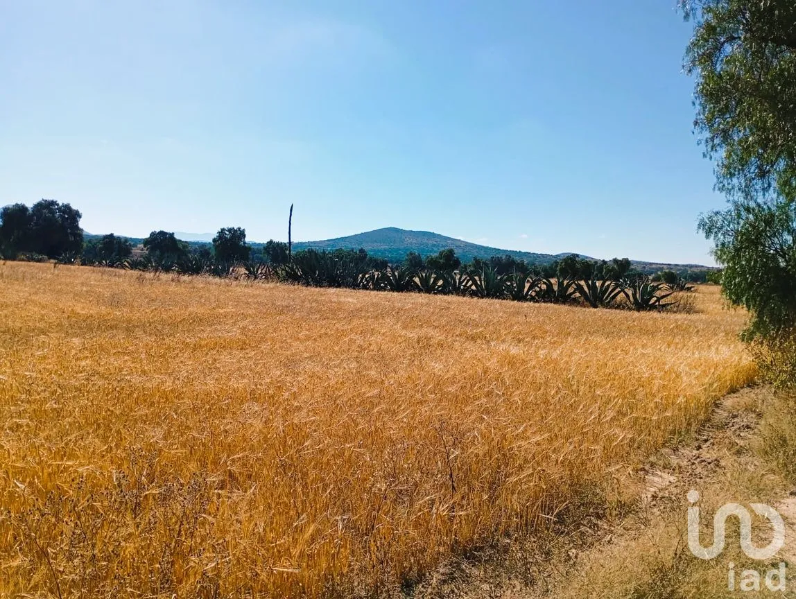Terreno en Venta en San Francisco, Epazoyucan, Hidalgo | NEX-263265 | iad México | Foto 10 de 12
