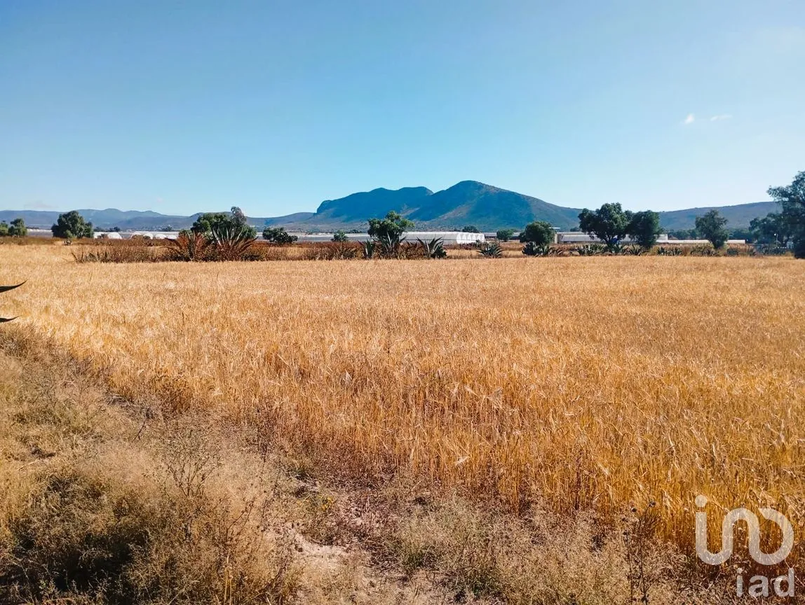 Terreno en Venta en San Francisco, Epazoyucan, Hidalgo | NEX-263265 | iad México | Foto 12 de 12