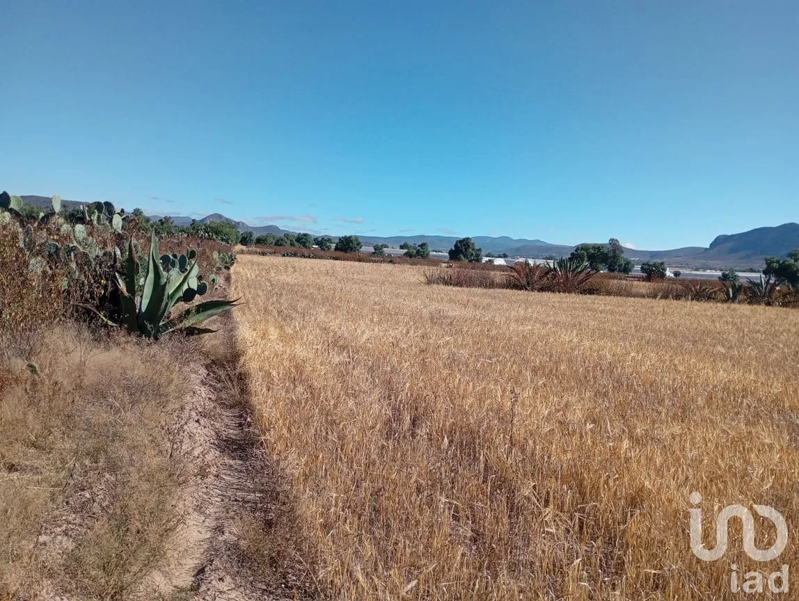 Terreno en Venta en San Francisco, Epazoyucan, Hidalgo | NEX-263265 | iad México | Foto 3 de 12