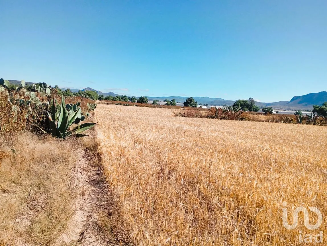 Terreno en Venta en San Francisco, Epazoyucan, Hidalgo | NEX-263265 | iad México | Foto 7 de 12