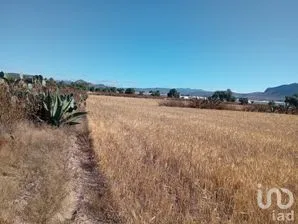 NEX-263265 - Terreno en Venta en San Francisco, CP 43586, Hidalgo.