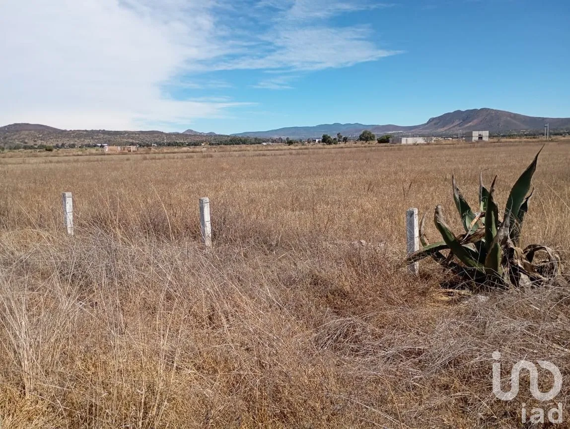 Terreno en Venta en Presa Escondida, Tepeji del Río de Ocampo, Hidalgo | NEX-285339 | iad México | Foto 4 de 12