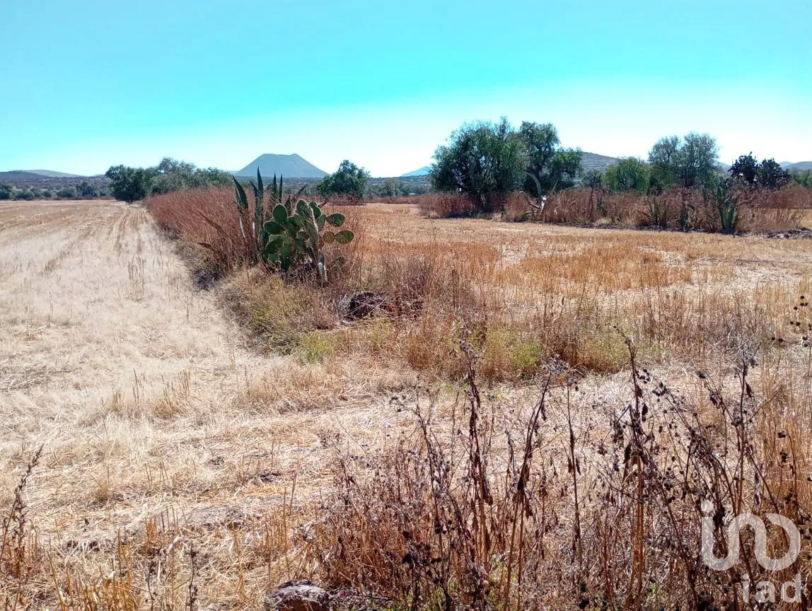 Terreno en Venta en Presa Escondida, Tepeji del Río de Ocampo, Hidalgo | NEX-285339 | iad México | Foto 9 de 12