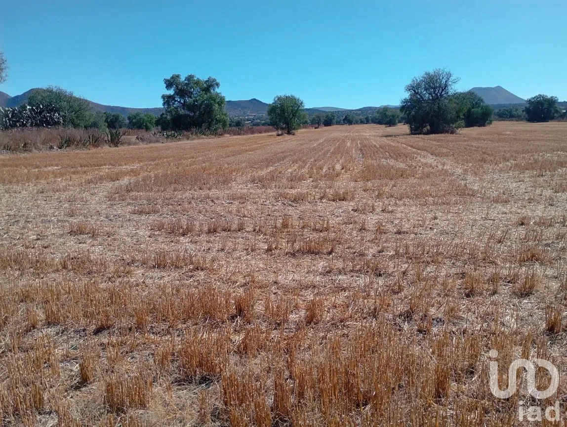 Terreno en Venta en Ciénega Larga, Epazoyucan, Hidalgo | NEX-285544 | iad México | Foto 2 de 12