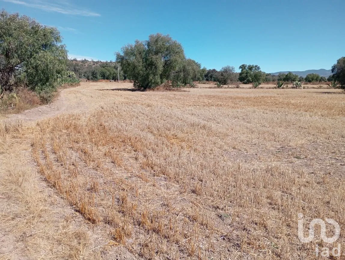 Terreno en Venta en Ciénega Larga, Epazoyucan, Hidalgo | NEX-285544 | iad México | Foto 5 de 12