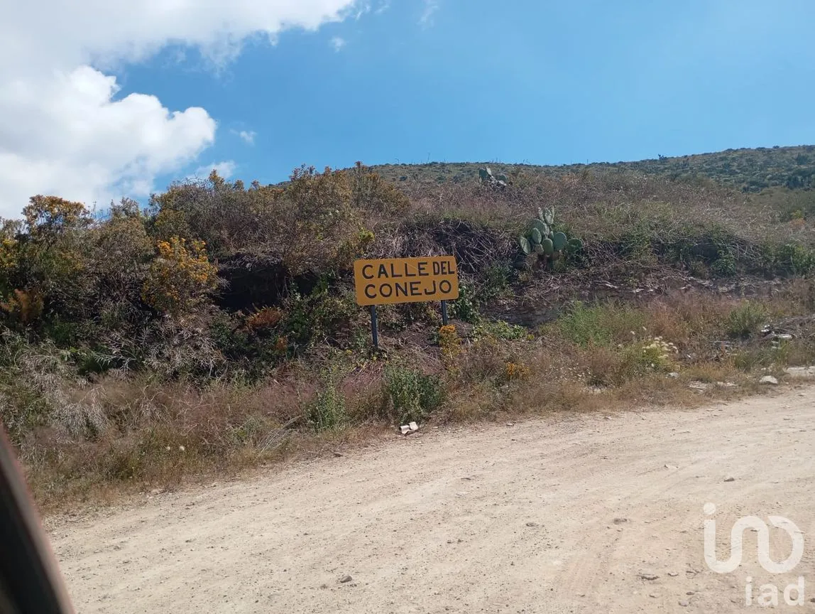 Terreno en Venta en San Juan Tilcuautla, San Agustín Tlaxiaca, Hidalgo | NEX-287631 | iad México | Foto 10 de 10