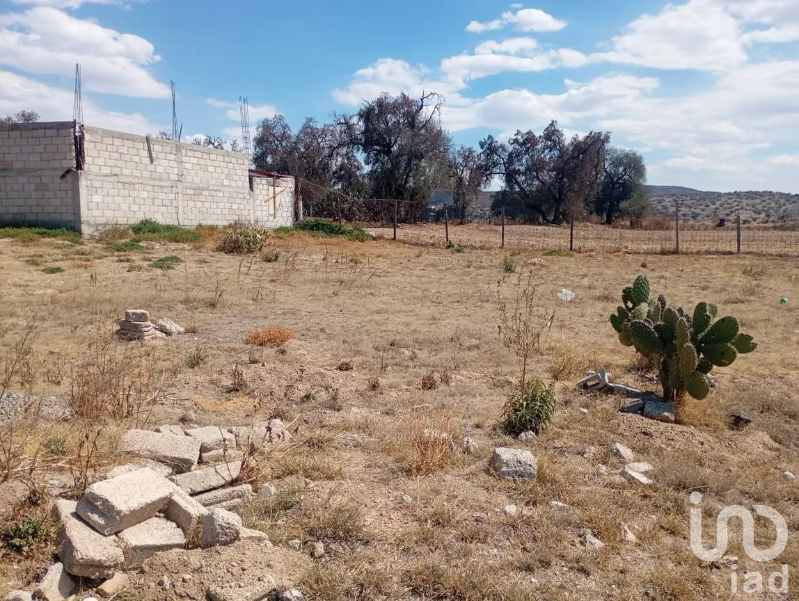 Terreno en Venta en La Cuchilla, Zempoala, Hidalgo | NEX-293524 | iad México | Foto 14 de 15