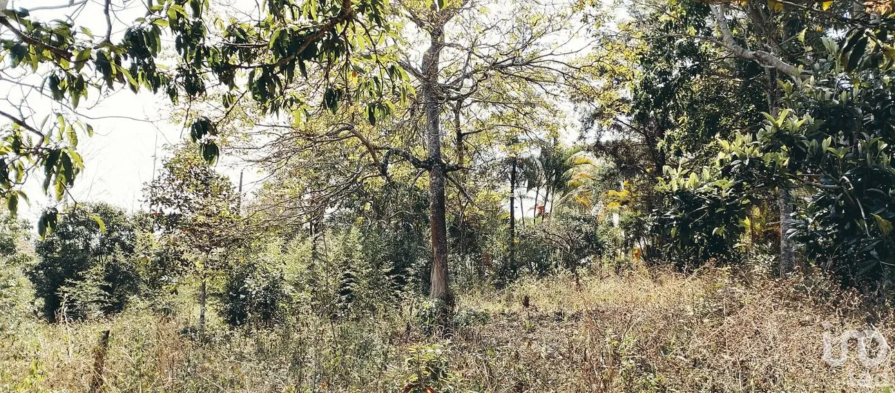 Terreno en Venta en Colmenar, Emiliano Zapata, Veracruz de Ignacio de la Llave | NEX-295014 | iad México | Foto 2 de 6