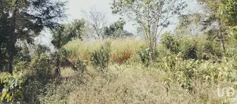 NEX-295014 - Terreno en Venta en Colmenar, CP 91637, Veracruz de Ignacio de la Llave.