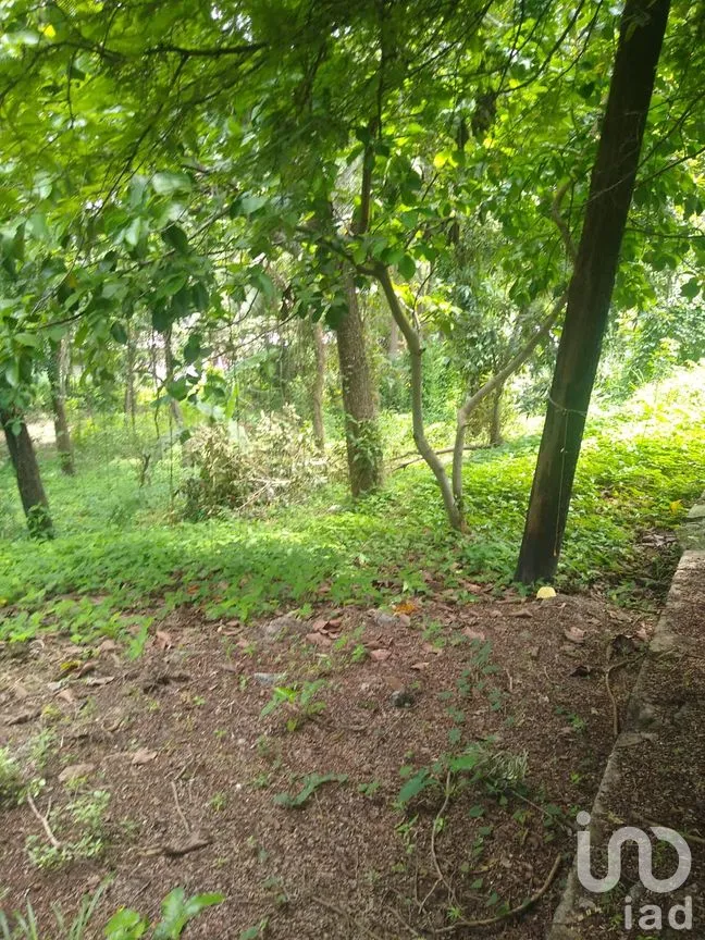 Casa en Venta en 18 de Marzo, Cerro Azul, Veracruz de Ignacio de la Llave | NEX-261724 | iad México | Foto 7 de 7
