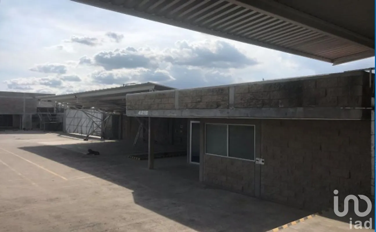 Bodega en Renta en San Francisco Totimehuacan, Puebla, Puebla | NEX-285316 | iad México | Foto 22 de 26