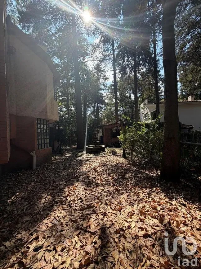 Casa en Venta en Casa Blanca, Amozoc, Puebla | NEX-289622 | iad México | Foto 24 de 24