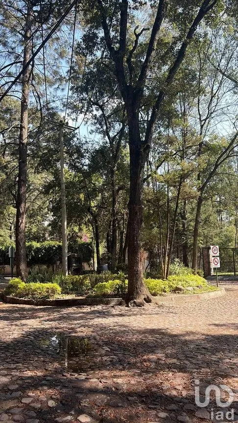 Casa en Venta en Casa Blanca, Amozoc, Puebla | NEX-289622 | iad México | Foto 7 de 24
