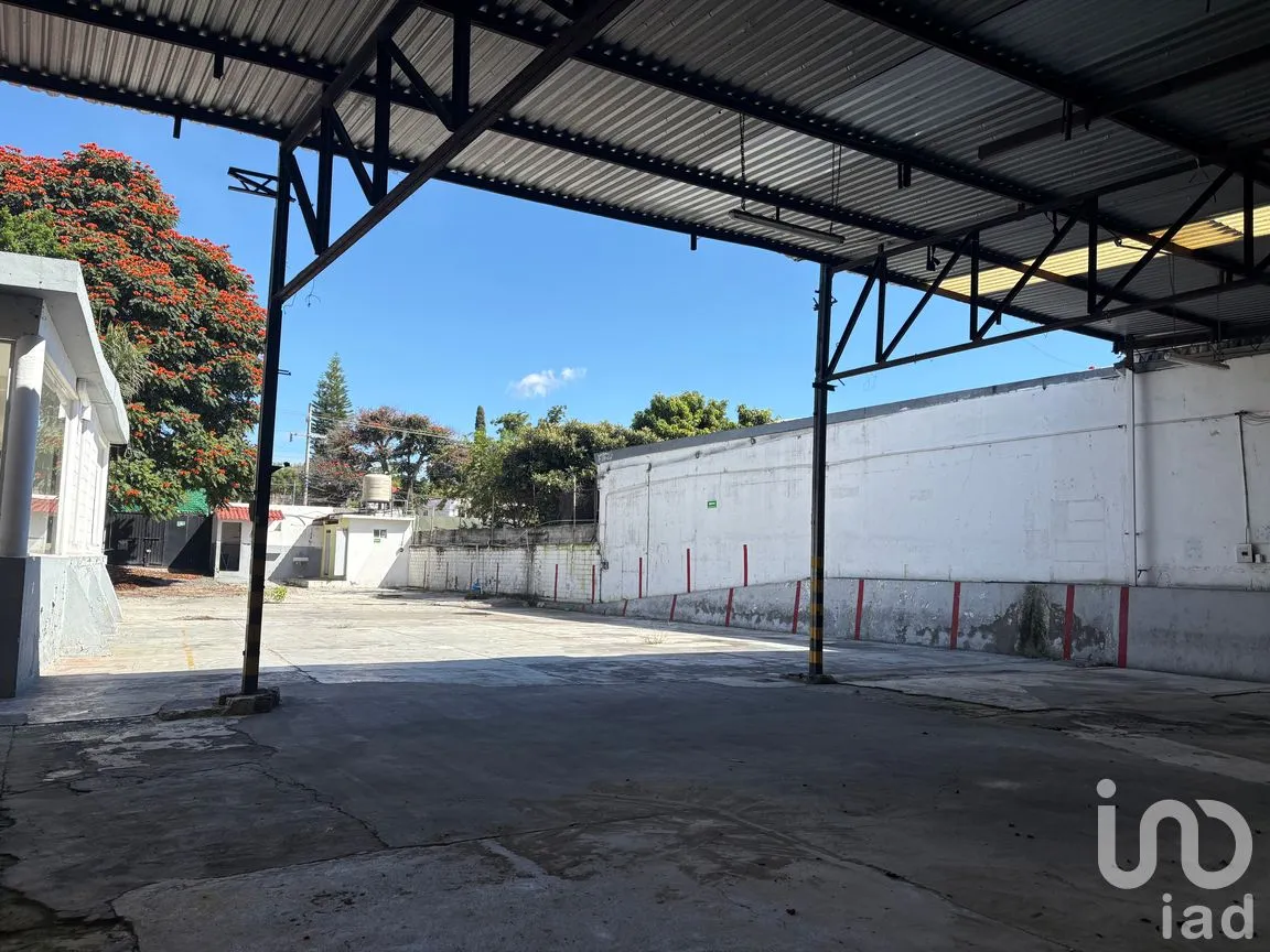 Bodega en Renta en Centro Jiutepec, Jiutepec, Morelos | NEX-289784 | iad México | Foto 6 de 7