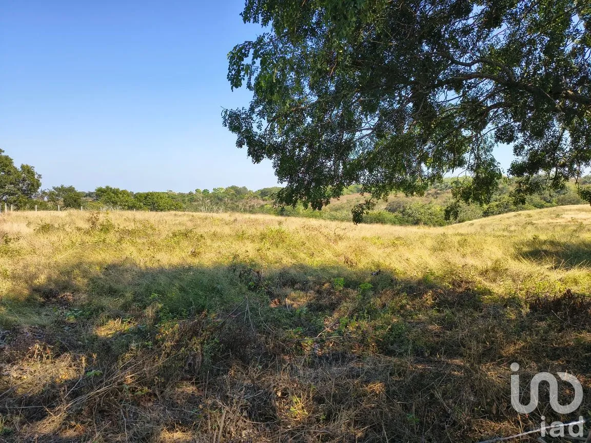 Terreno en Venta en Villa Emiliano Zapata (El Carrizal), Emiliano Zapata, Veracruz de Ignacio de la Llave | NEX-261773 | iad México | Foto 11 de 19