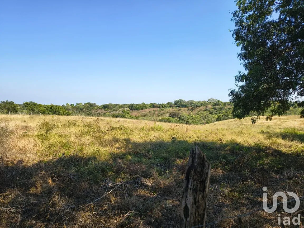 Terreno en Venta en Villa Emiliano Zapata (El Carrizal), Emiliano Zapata, Veracruz de Ignacio de la Llave | NEX-261773 | iad México | Foto 12 de 19