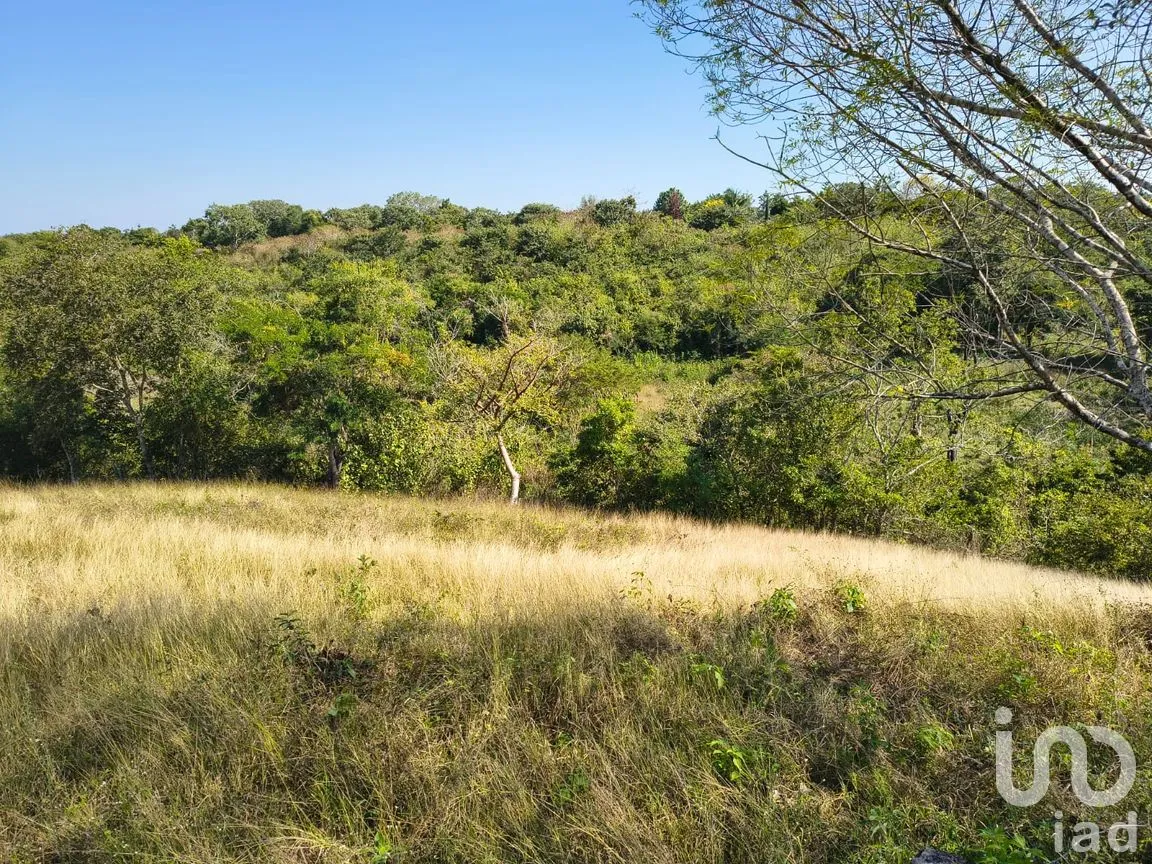 Terreno en Venta en Villa Emiliano Zapata (El Carrizal), Emiliano Zapata, Veracruz de Ignacio de la Llave | NEX-261773 | iad México | Foto 3 de 19