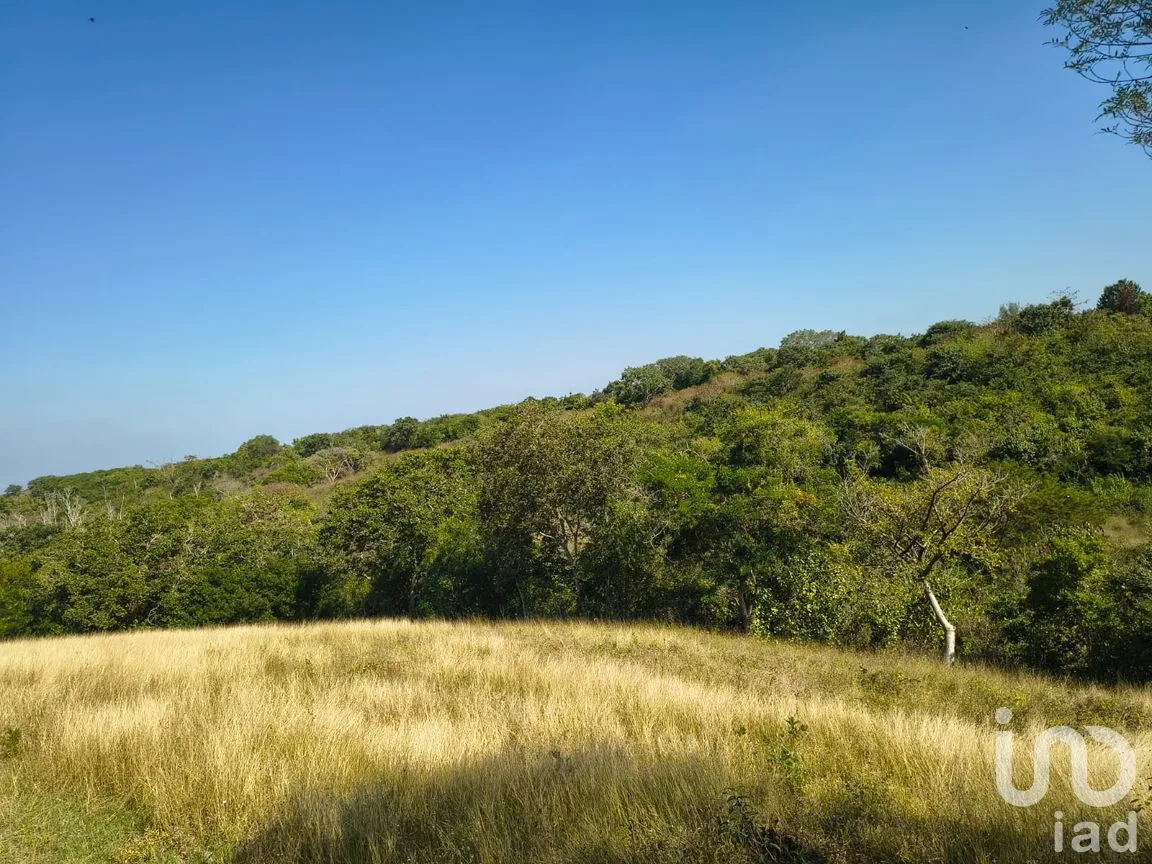 Terreno en Venta en Villa Emiliano Zapata (El Carrizal), Emiliano Zapata, Veracruz de Ignacio de la Llave | NEX-261773 | iad México | Foto 4 de 19
