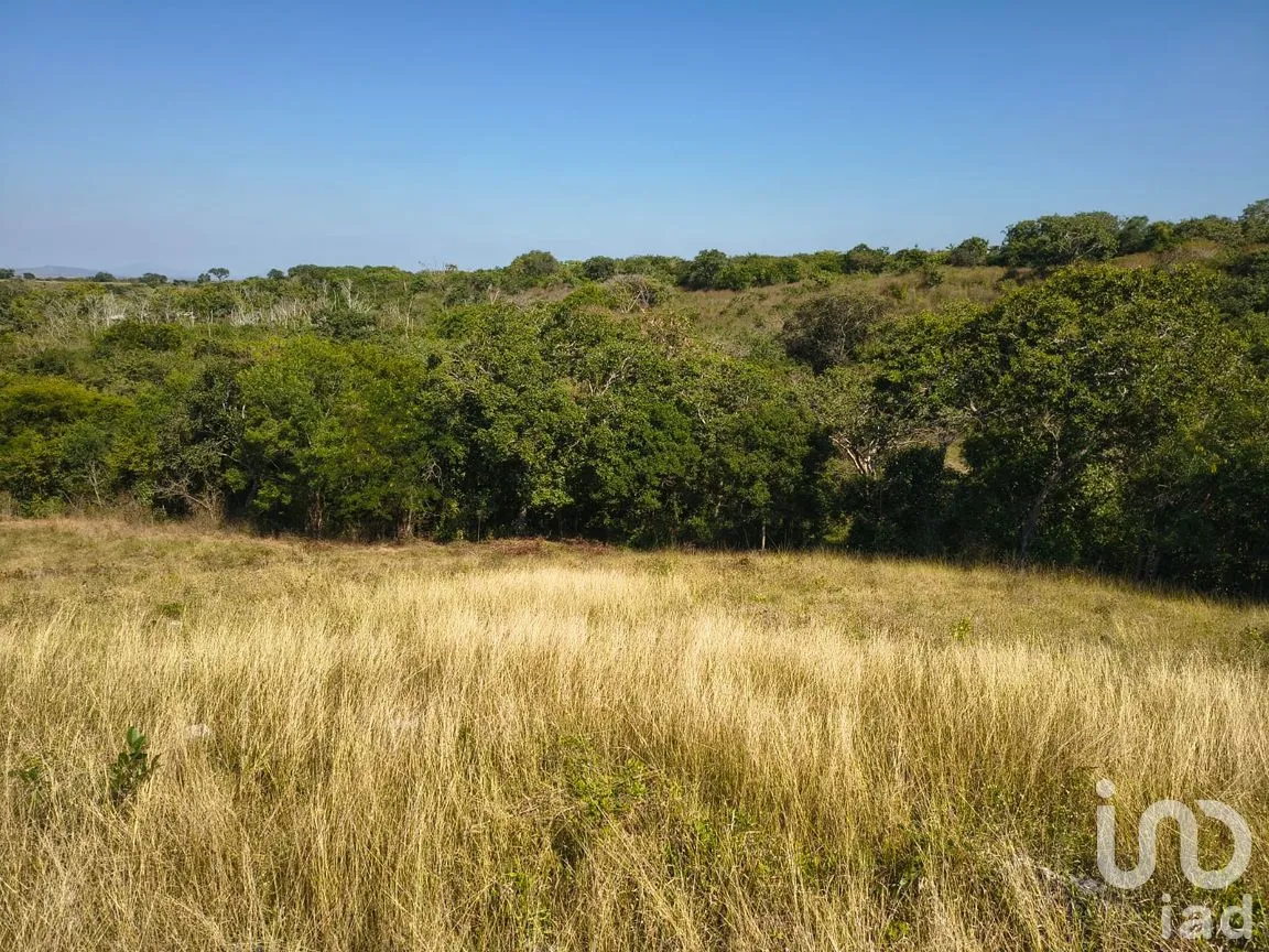 Terreno en Venta en Villa Emiliano Zapata (El Carrizal), Emiliano Zapata, Veracruz de Ignacio de la Llave | NEX-261773 | iad México | Foto 5 de 19