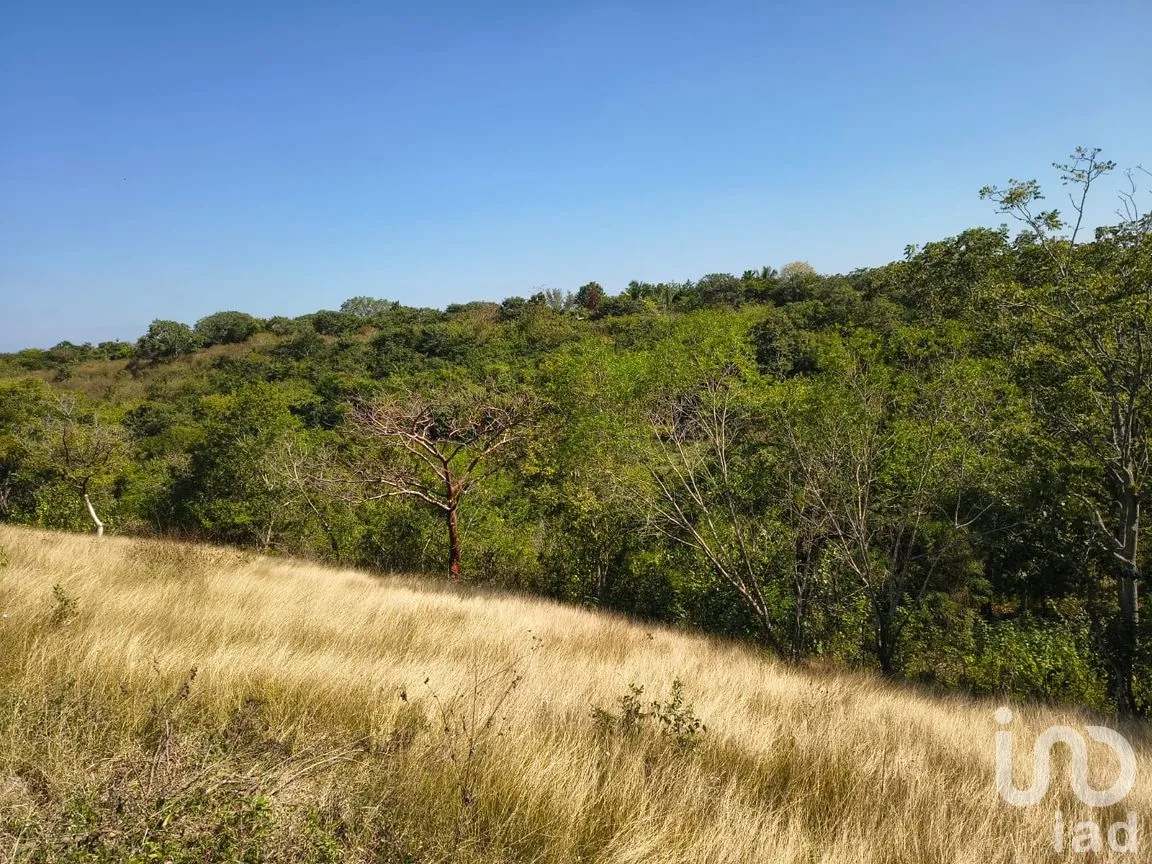 Terreno en Venta en Villa Emiliano Zapata (El Carrizal), Emiliano Zapata, Veracruz de Ignacio de la Llave | NEX-261773 | iad México | Foto 7 de 19