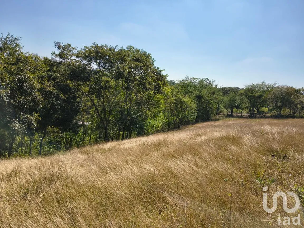 Terreno en Venta en Villa Emiliano Zapata (El Carrizal), Emiliano Zapata, Veracruz de Ignacio de la Llave | NEX-261773 | iad México | Foto 8 de 19